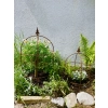 Piękny zestaw 4 x Podpora do roślin roślin PERGOLA OBELISK ozdoba wysokość 50cm, 60cm, 90cm i 115cm